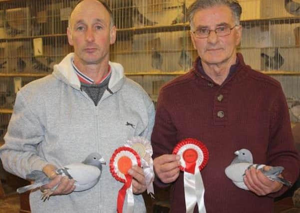 The top winners at Cullybackey, Victor Montgomery (r) BIS and Brian Herbison BOS.