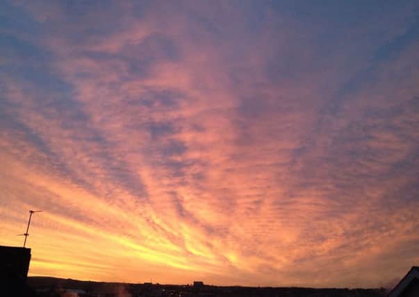 The beautiful red sky this morning, Tuesday, January 14, 2014. Photo by Finola Faller.