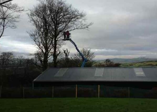 A tree surgeon on a farm at Curryfree, pictured using a crane to remove branches from a tree that has become unstable due to the recent storms.