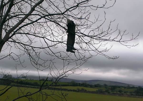 The wellies hanging on the tree outside Tobermore.