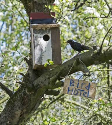 RSPB Giving Nature a Home campaign.