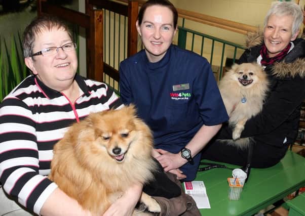 Vet Mary Davey of Pets at Home is pictured with Maureen Smyth and dog Lola, and Linda Thompson and dog Zoe at the stores open day. INBT08-275AC