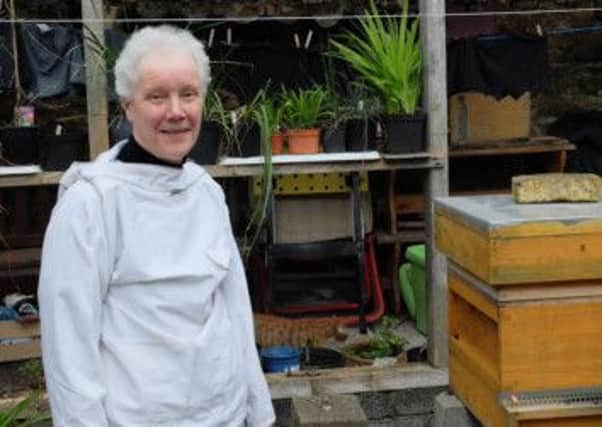Mary Montaut Honey Bee and plant enthusiast will speak at Dromore Beekeepers' Association March meeting