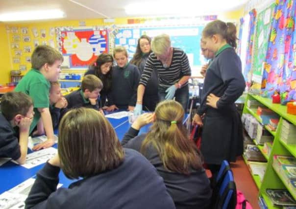 Pupils at Dunseverick PS learn about the dangers of smoking. INBM14-14