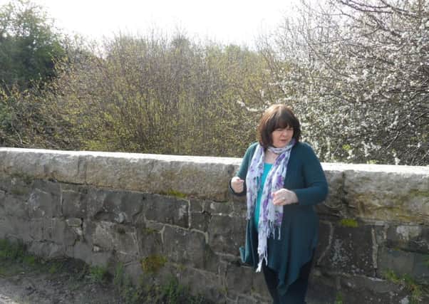 Councillor Marie Hamilton at the Bridge at Kiln Lane
