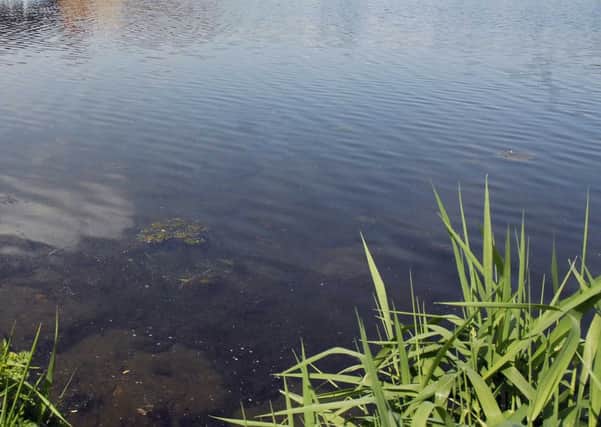 Plans are  being drawn up for Dohoyle Lake in Rathkeale