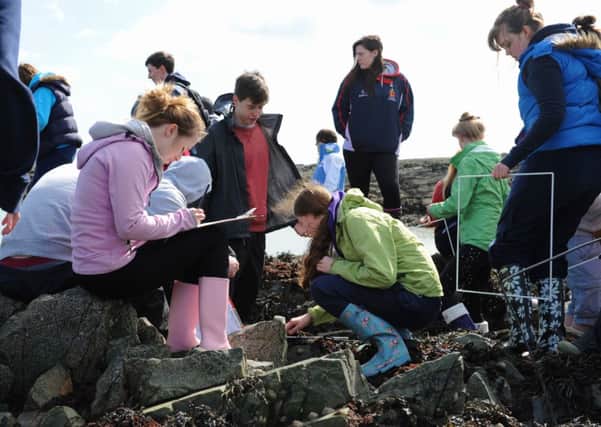 AS Biology students from Wallace High School on a recent field trip to Ballyhornan Point, County Down.