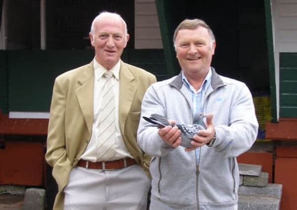 Alan and Don Houston of the A&T&J Houston Partnership with the pigeon which won Roscrea.