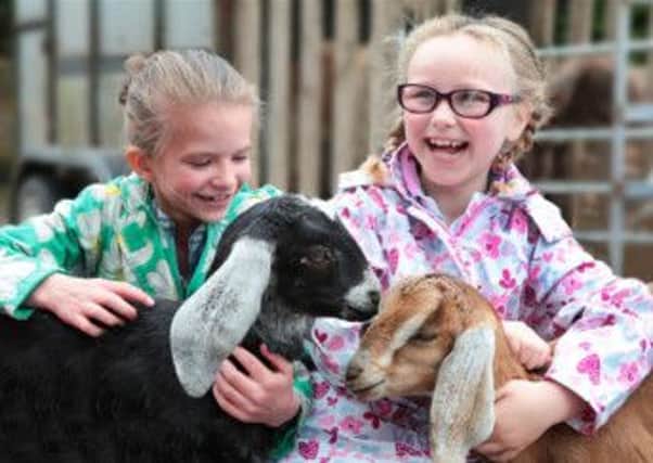 There will be fun for all the family at the Country Fair at The Argory.