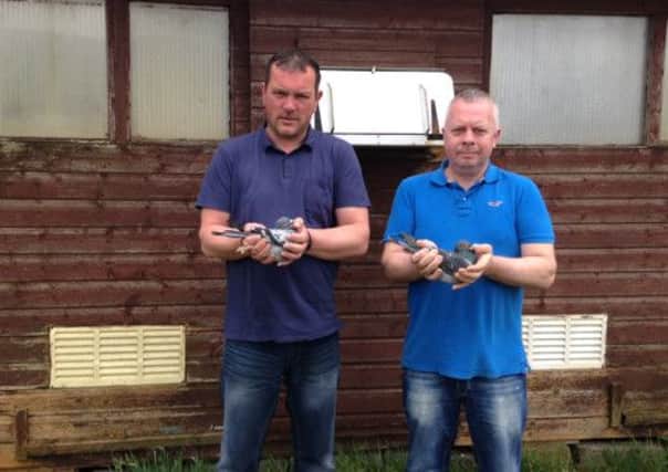 At the weekend Steele and McNeill from Rasharkin won first club, first combine and section, and came in 11th in the Open NIPA Rosscarbery with 5,669 birds competing.