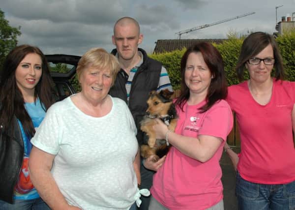 Volunteers from the Causeway Coast Dog Rescue with 'Chuck' INCR23-200NF