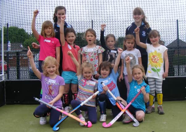 Some of those at the Try Hockey event.