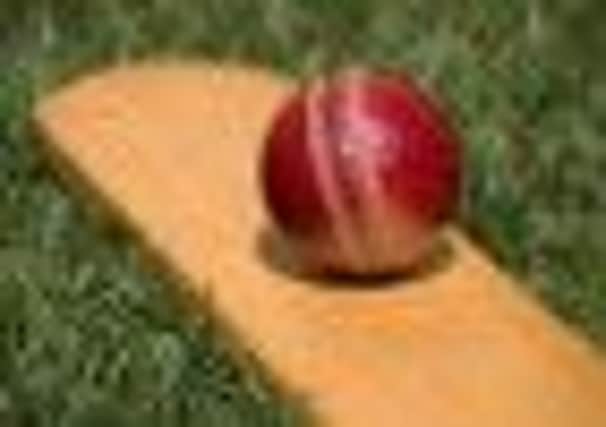 Mini Cricket competition coming to Bready.