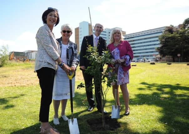 Mayor Brenda Stevenson; Dr Susan O'Reilly; Director of the HSE National Cancer Control Programme; Western Trust Chairman, Gerard Guckian and Maeve McLaughlin, Chair of the Assembly Health Committee together planting an Oak Tree to mark a major milestone for the Radiotherapy Unit project at Altnagelvin Hospital.
