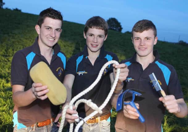 All set for the clipping and showing demonstration are Holstein Young Breeders' Club members William McCormick, Ballycastle; David McAlister, Bushmills; and Mark Henry, Stranocum. Picture: Steven McAuley/Kevin McAuley Photography Multimedia. INBM29-14 KMA
