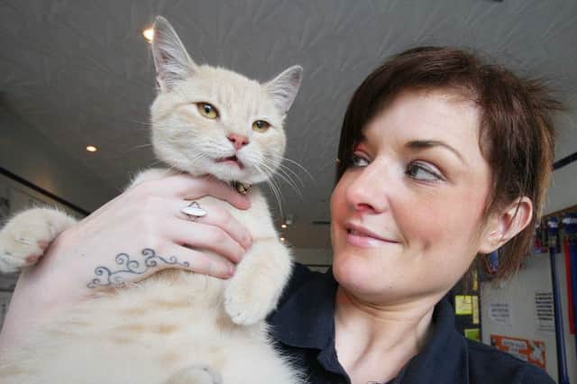 Kirsty McAuley at Knockanbuoy Veterinary Practice with the saved cat which now has new owners. INCR33-101MJ