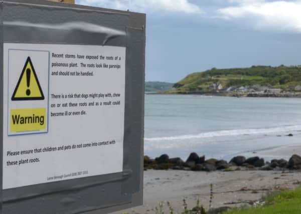 The sign at Drains Bay warning dog owners about the dangers of "Poisonous Parsnips". INLT 34-376-PR