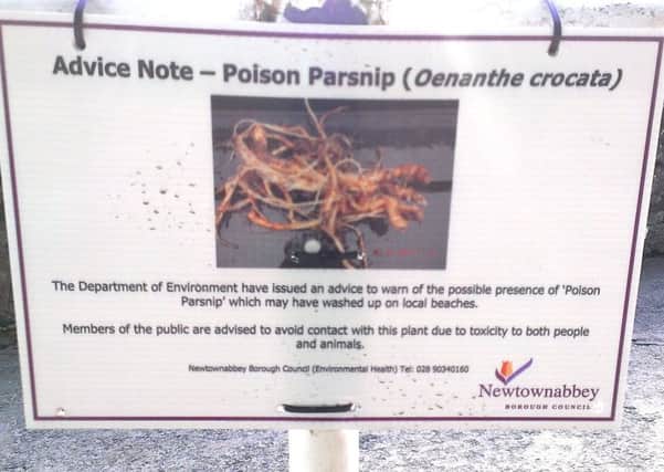 The council has erected signage at Hazelbank warning of the possible presence of poison parsnip along the shoreline.