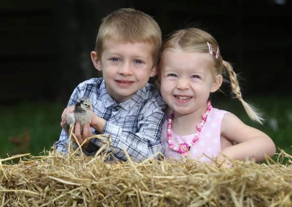Max and Lucia Greene enjoy some cuddles with cute chicks ahead of the 20th annual Bird Fair at Tannaghmore Gardens on Saturday 23rd August. Enjoy a great family fun day out before school starts back with gorgeous birds, sheep dog displays, chainsaw carving, stick carving, archery display, climbing wall, blacksmithing and arts and crafts. Open from 10am to 4pm.