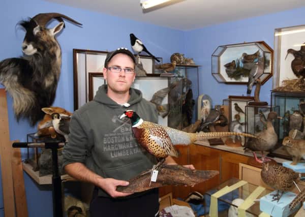 Taxidermist David Irwin with some of the stuffed animals and birds he has completed. What started as a hobby became a full time business seven years ago. INLM33-766