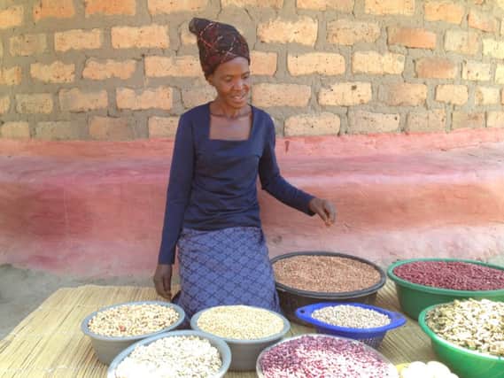 Lillian Shachinda, one of the RAIN project beneficiaries in Shababwa village with some of the grains she's been able to preserve after receiving a solar preserver from Concern.