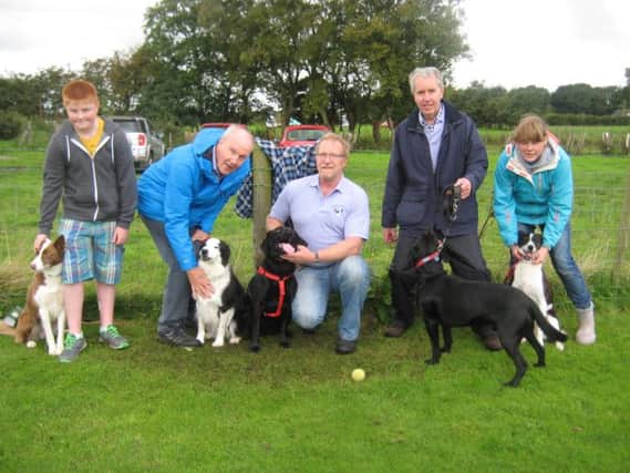 Ballybogey Open Flyball Team. From left to right: Andrew McCrory with Nutmeg, Alan Pendlebury with Finn, Andrew Wardlaw with Trooper, Foster Gawdy with Dexter and Cathy Adams with Jessie. inbm37-14s