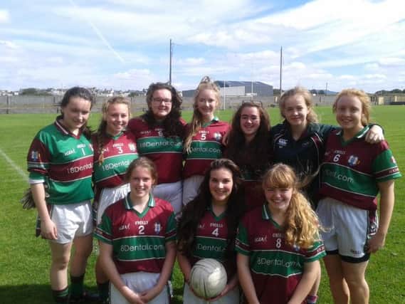 Eogha Ruas Under-16 panel on their trip to the  All-Ireland 7-aside tournament in County Clare. (S)