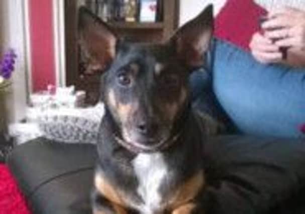 Jack, who went missing from his home in Currynierin on Friday, and is feared dead.