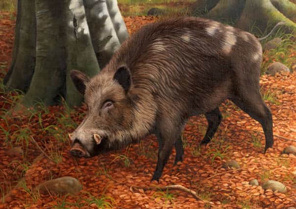 'Wild Boar at Montalto'  by Cullybackey artist John R Moore who has been commissioned to mark the launch of the new Ballynahinch Harvest & Country Living Festival with a painting reflecting the unique heritage of the area.