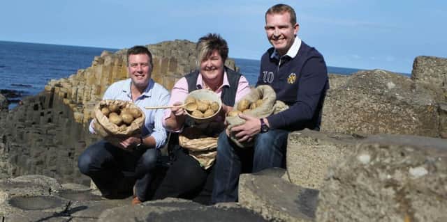 Sandra Hunter, committee member from the Northern Ireland Potato Festival, pictured with potato growers Michael McKillop, Glens of Antrim Potatoes and Mark McCurdy, McCurdy's Potatoes .PICTURE STEVEN MCAULEY/KEVIN MCAULEY PHOTOGRAPHY MULTIMEDIA