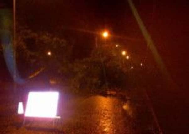 Fallen tree blocking both lanes of Lawford Street, Moneymore