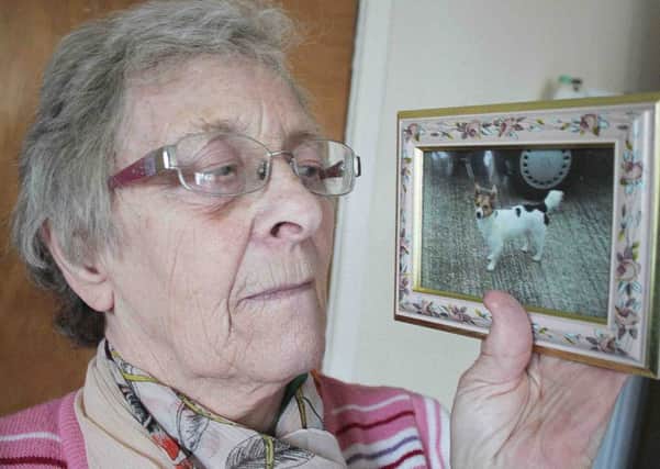 Senior citizen Violet McElreavey, with a a picture of her beloved Jack Russell dog Busker who had to be put down after it was attacked in its owners house at  Maple Drive in Coleraine on Sunday morning.  Buskers injurys are to beleived be  caused by a hammer.PICTURE MARK JAMIESON.
