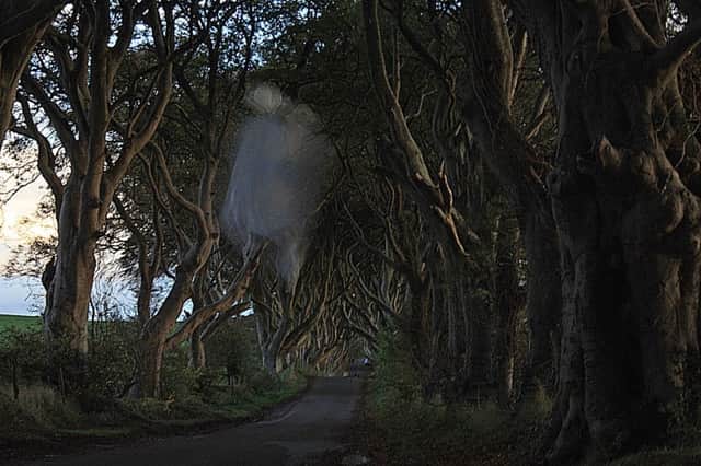 Could it be? Ballycastle man Gordon Watson took this picture at the Dark Hedges - could it be the Greyt Lady? INBM44-14 KMA