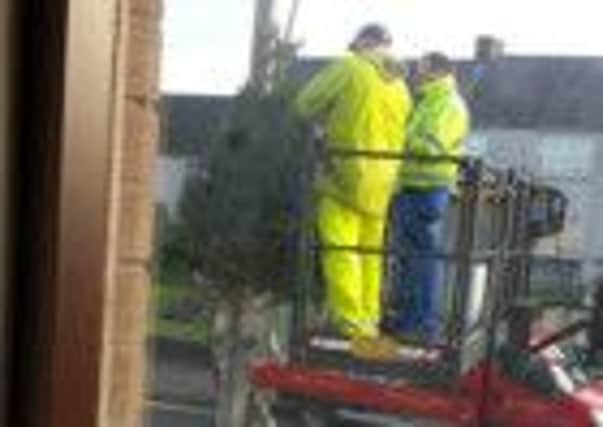 The first Christmas trees for 2014 in Cookstown erected on October 29.