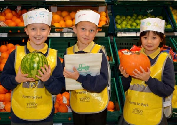 Dylan, Josh and Etta got to try out some of the fresh produce at Tesco Abbey Retail Park during their visit as part of the Farm to Fork campaign. INNT 44-151-GR