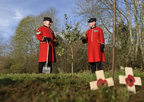 PRESS RELEASE IMAGE - NO FEE FOR REPRODUCTION
8/11/14: Pictured at the Faughan Valley are Chelsea pensioners Paddy Fox (left) and Walter Swann from the Royal Hospital Chelsea who helped plant some of the first trees to commemorate the 100th anniversary of the First World War as part of the Woodland Trust's Centenary Woods project.

A Centenary Wood in the beautiful Faughan Valley is springing to life thanks to local people and visitors who rallied to plant the first of 40,000 native trees.  Part of the Woodland Trust's Centenary Woods project, 'Brackfield Wood' is one of just four flagship woods being created throughout the UK to commemorate the 100th anniversary of the First World War.  Picture: Michael Cooper
