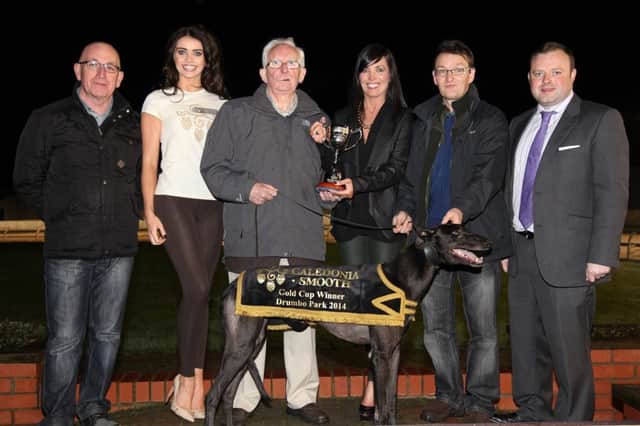 Divis View won the 2014 Caledonia Smooth Gold Cup at Drumbo Park Greyhound Stadium at the weekend. Owner Dessie Gilroy (centre) received the winners trophy from Annemarie McDonagh, Territory Manager, Tennents NI, along with (from left) handler Joe Taggart, Caledonia Smooth promotional girl Anna Henry, breeder Erwin Birkmyre and John Connor, Drumbo Park Racing Manager.