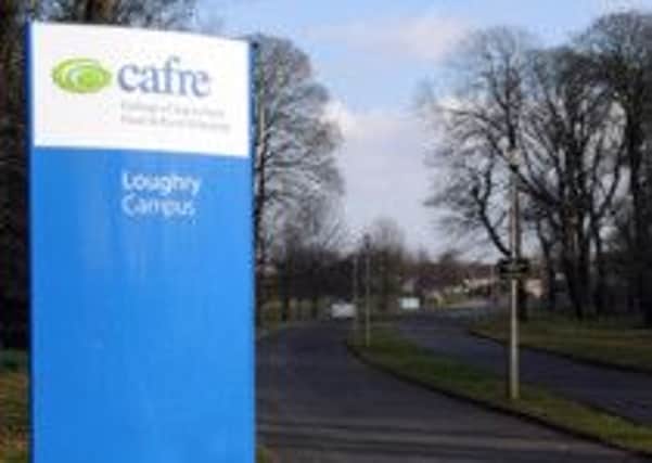 New Rivers Agency offices to be built at Loughry