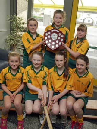HISTORY MAKERS. Pictured are the St Brigid's PS camogie team, who for the first time in the school's history, won the Nine Glens Shield which was played at Dunloy GAA.INBM47-14 038SC.