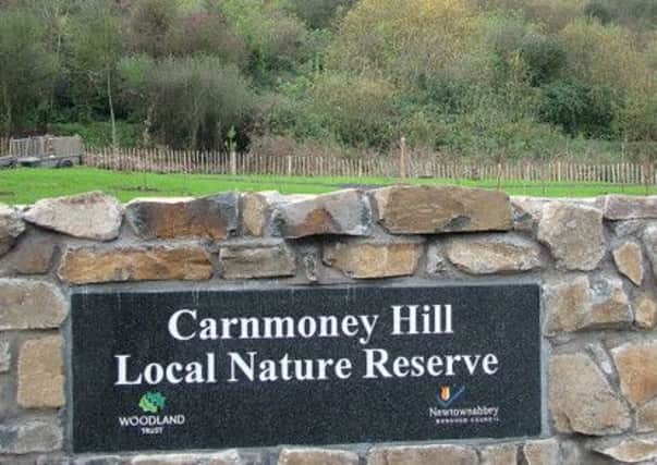 Carnmoney Hill.