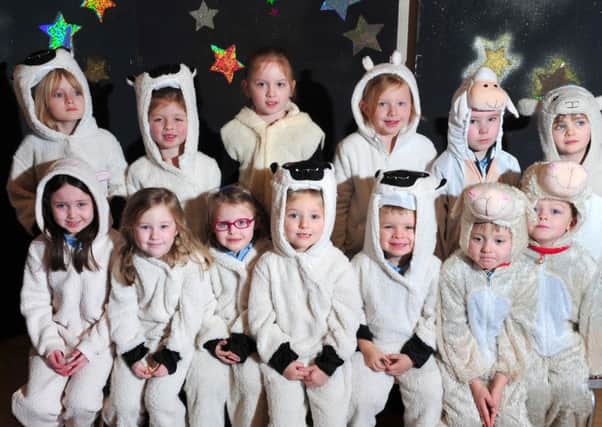 Pupils from Knockloughrim Primary School who took to the stage as the sheep during the school's Christmas Nativity concert.INMM5114-354