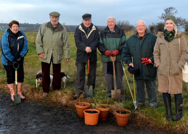 Cllr Isobel Day, Robert Lappin, Bill Pollock, John Macauley, Dr John Wilson and Alison Diver from Carrick Council planting Oak Tree Saplings brought back from the Somme in the Diamond Jubilee wood at Whitehead. INCT 52-107-GR
