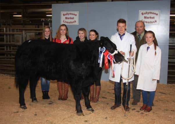 Iain and Amy Wilson, from Islandmagee, with their  YFC champion, members of Gleno YFC and butcher Tom McMaster at Ballymena Livestock Mart. INLT 53-650-CON