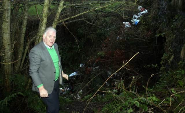Councillor Bill Kennedy at the scene of illegal dumping near Armoy. INBM52-14S