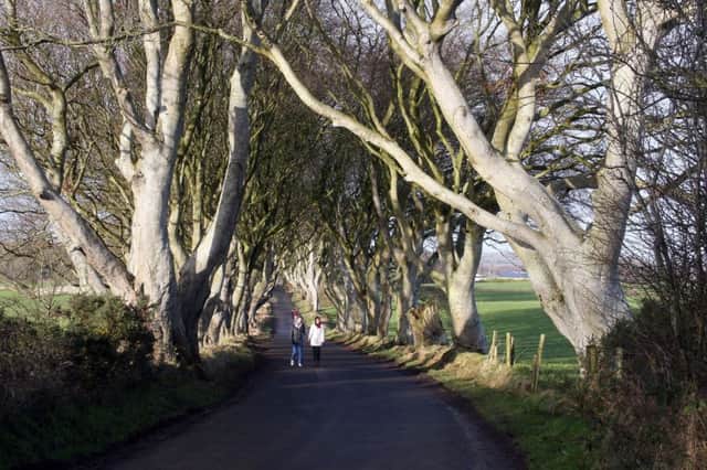 Visitors pictured at the Dark Hedges last Friday morning.
