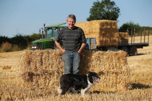 Press Eye - Belfast - Northern Ireland - 24th July 2014 - Picture by Kelvin Boyes / Press Eye.

Farmer Barclay Bell at his farm in Rathfriland, Co Down.
