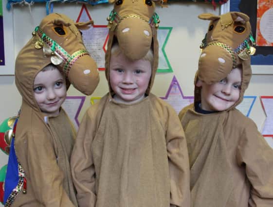 Camels at the play