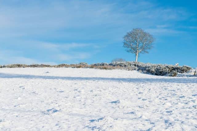 PICTURE POSTCARD!. . . .A snow-covered field close to the main Glenshane Road.