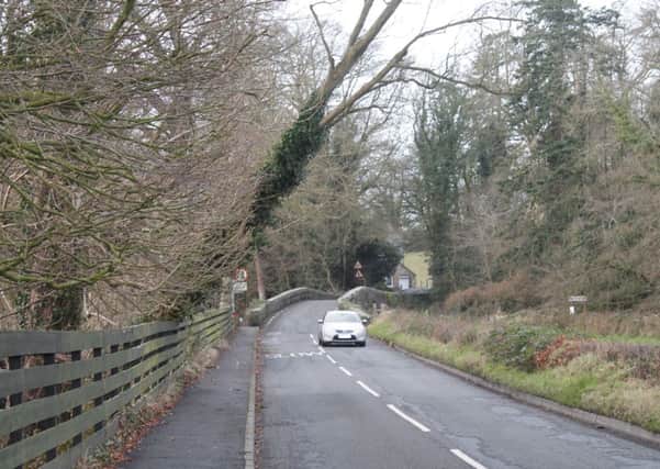 The partially fallen tree on the Hall Road.