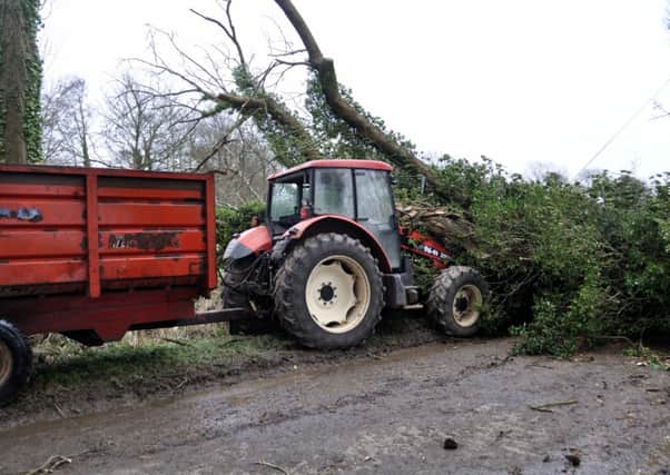 Tree collapses on top of tractor during last week's heavy storm